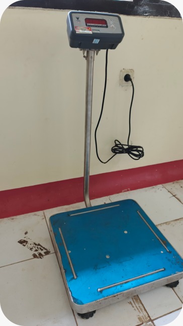 digital platform scale